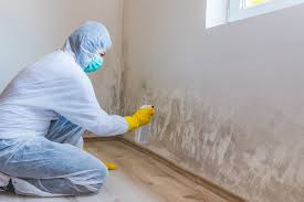 Trusted Pacific City, OR Mold Removal Services Experts