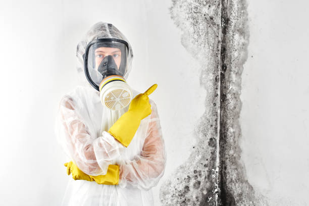 Best Industrial Mold Remediation  in Pacific City, OR