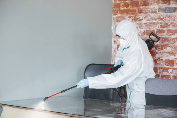 Best Attic Mold Removal  in Pacific City, OR