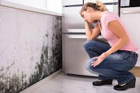 Best Air Quality Testing for Mold Spores  in Pacific City, OR